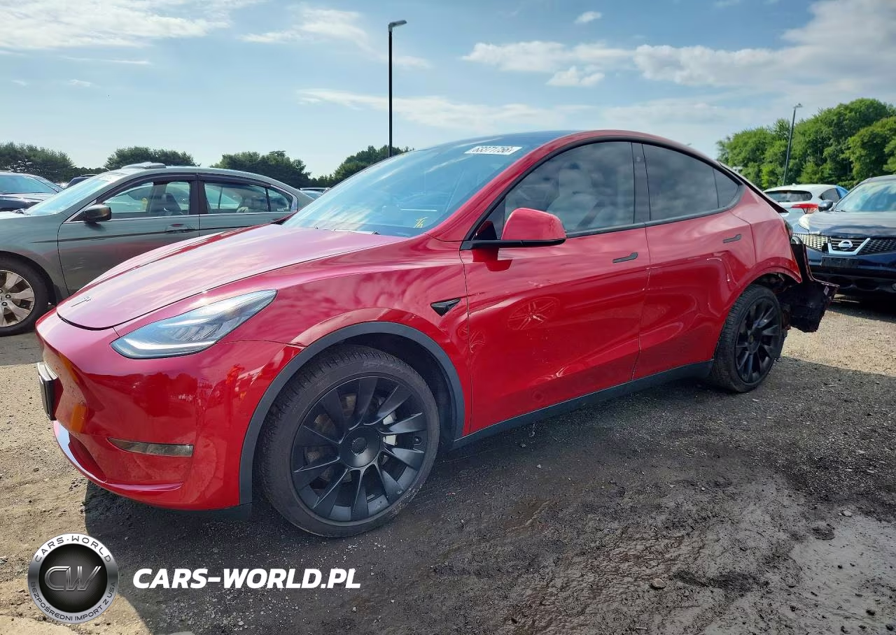 2020 Tesla Model Y