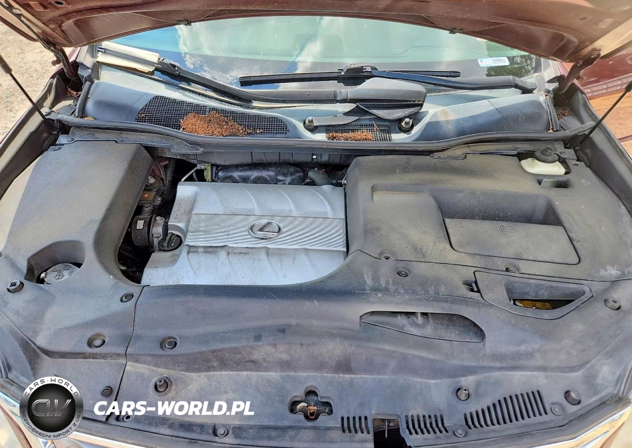 2015 Lexus Rx 350 Base VIN:2T2BK1BA9FC323682 - 11