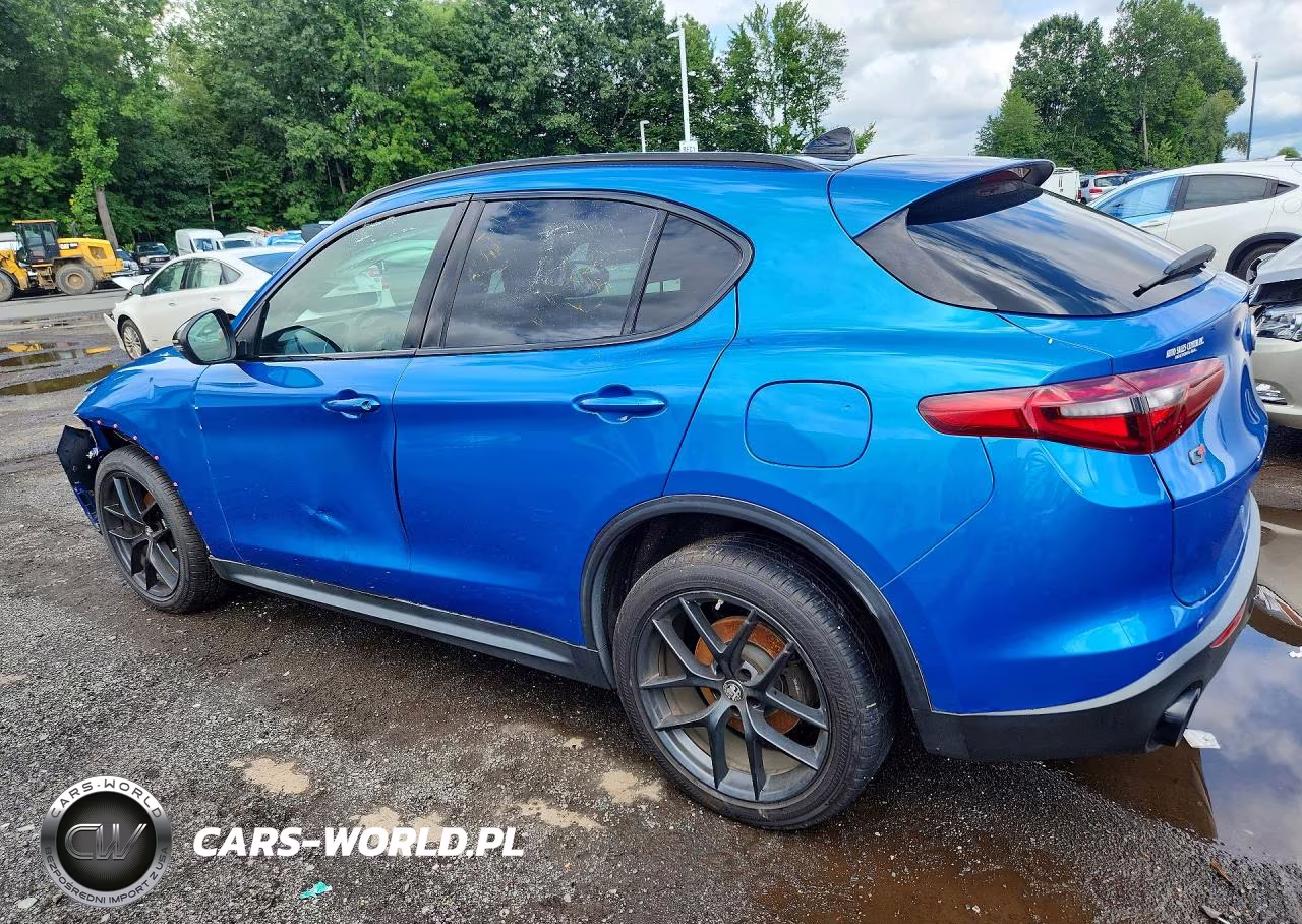 2019 Alfa Romeo Stelvio VIN:ZASPAKBN9K7C52170 - 2