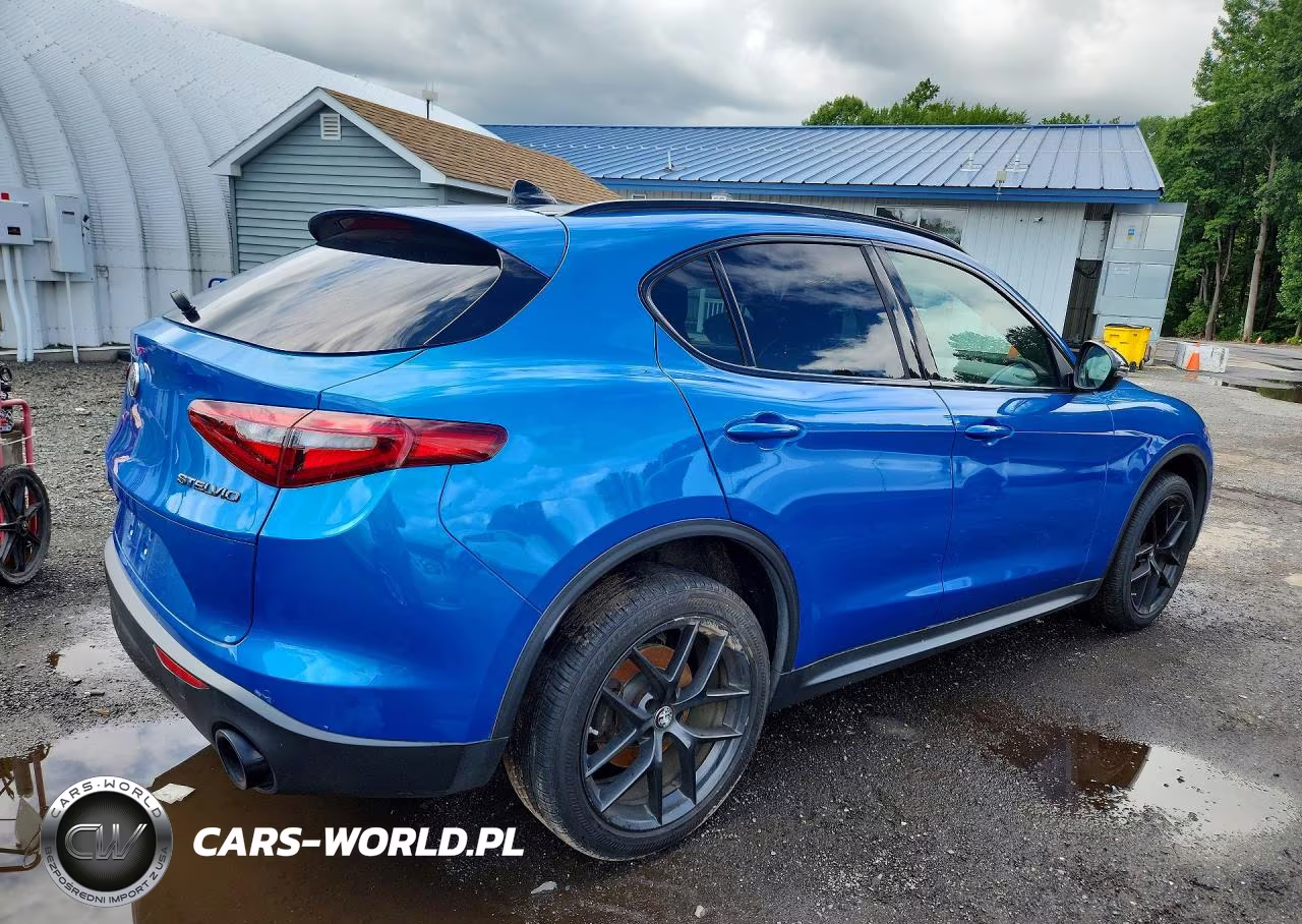 2019 Alfa Romeo Stelvio VIN:ZASPAKBN9K7C52170 - 3