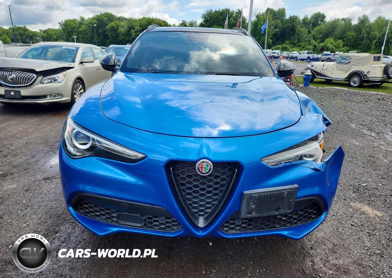 2019 Alfa Romeo Stelvio VIN:ZASPAKBN9K7C52170 - 5