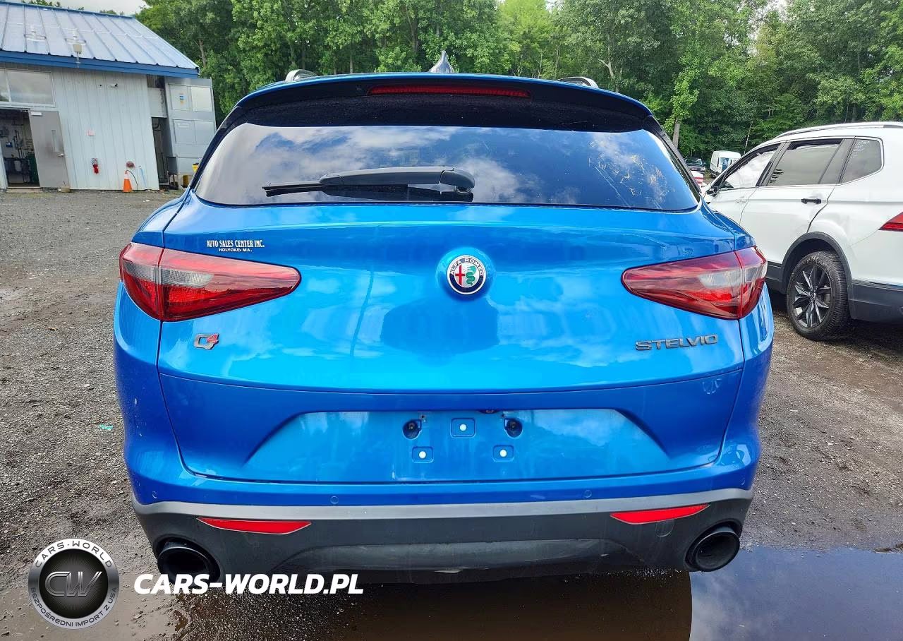 2019 Alfa Romeo Stelvio VIN:ZASPAKBN9K7C52170 - 6