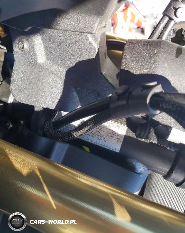 2025 Cf Moto 450Ss VIN:LCEPESLA9S6002930 - 9