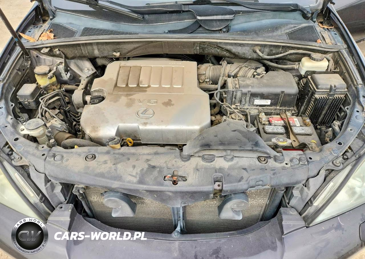 2009 Lexus Rx 350 VIN:2T2GK31U49C075939 - 11