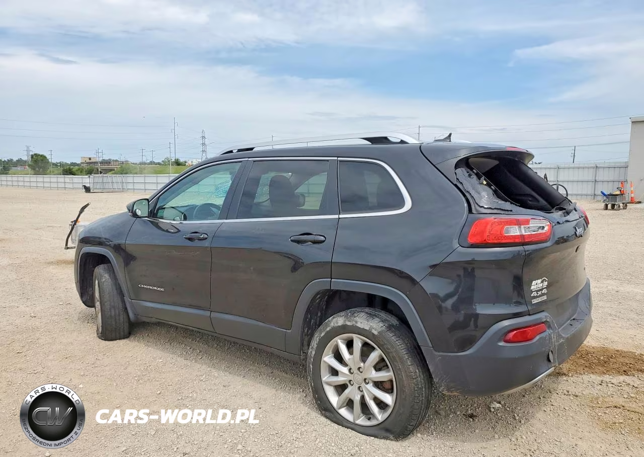 2014 Jeep Cherokee Limited VIN:1C4PJMDS9EW304771 - 2