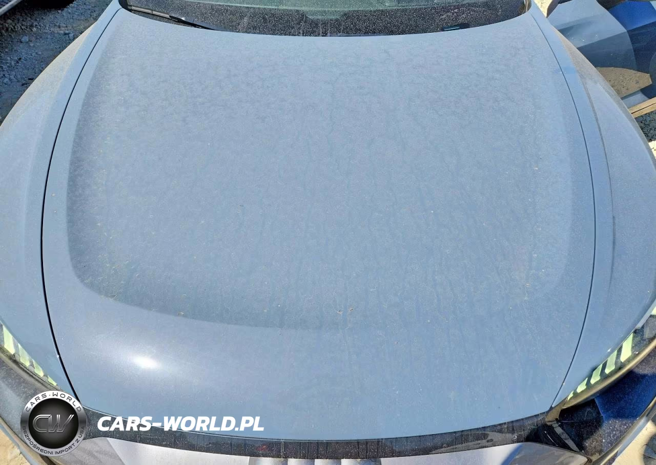 2022 Audi E-Tron Gt Prestige VIN:WAUDJBFW4N7003873 - 11