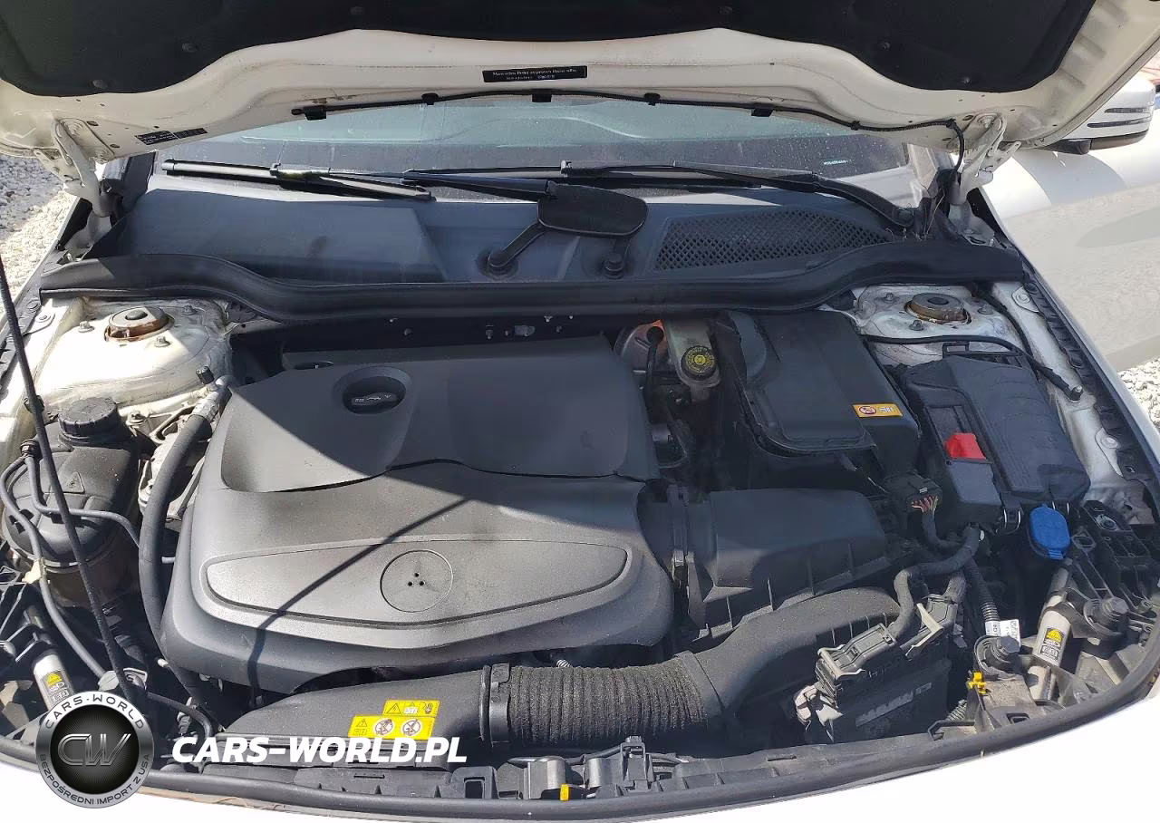 2014 Mercedes-Benz Cla 250 VIN:WDDSJ4EB9EN049821 - 11