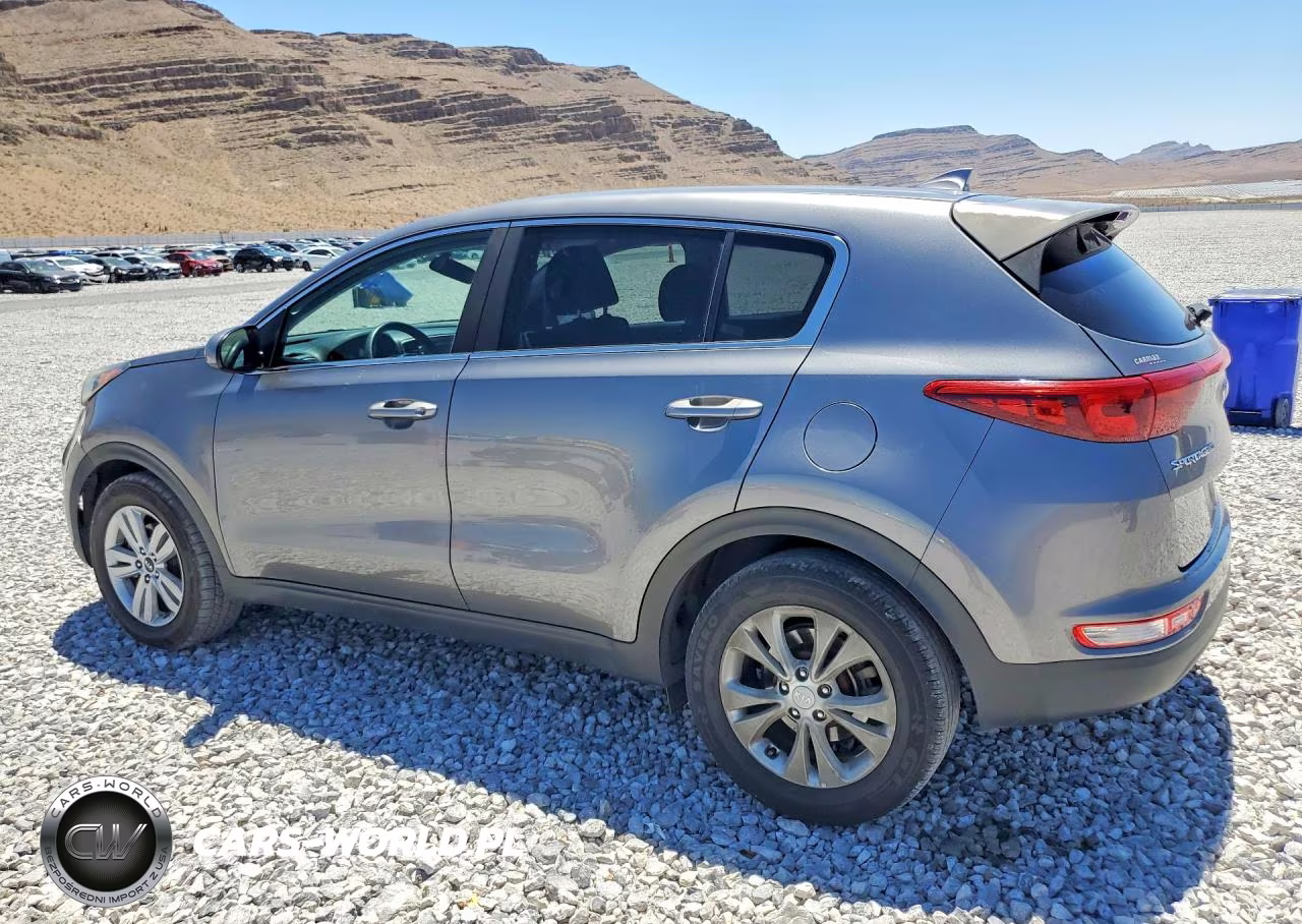 2019 Kia Sportage Lx VIN:KNDPM3ACXK7560812 - 2