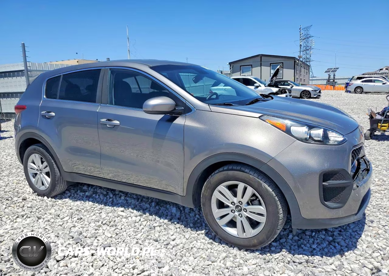 2019 Kia Sportage Lx VIN:KNDPM3ACXK7560812 - 4