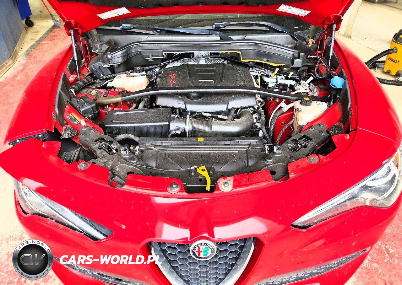 2019 Alfa Romeo Stelvio VIN:ZASPAKAN4K7C31244 - 12