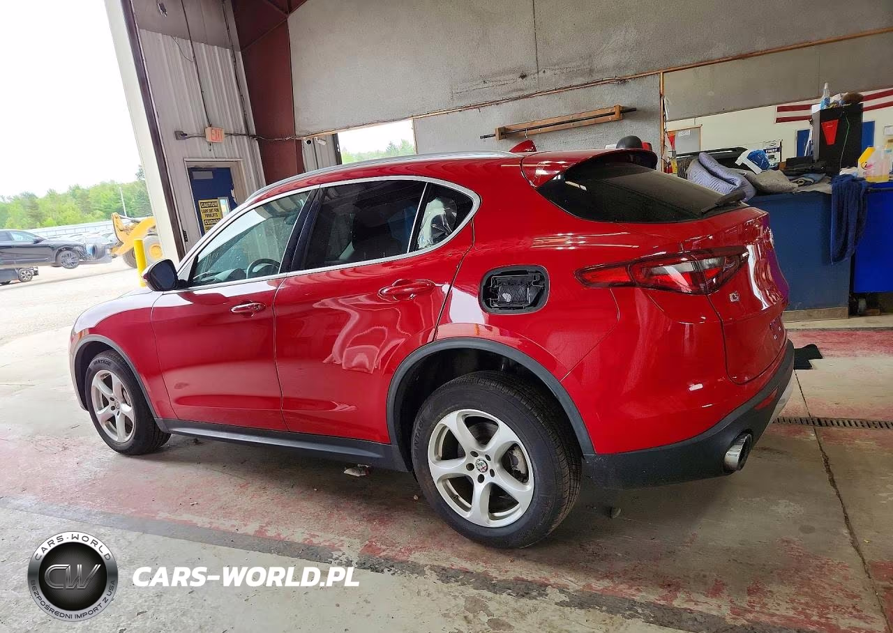 2019 Alfa Romeo Stelvio VIN:ZASPAKAN4K7C31244 - 2