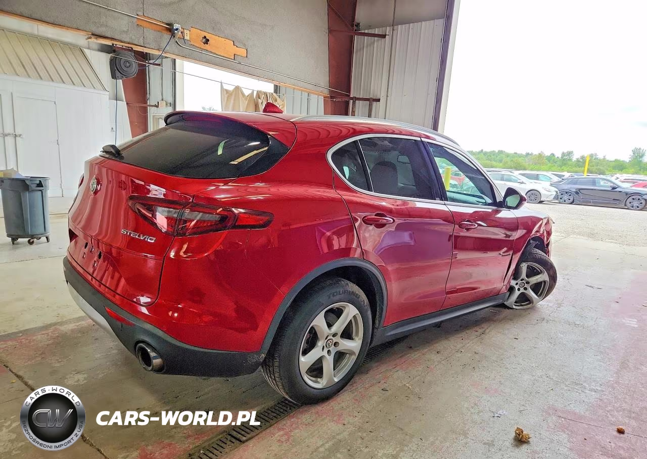 2019 Alfa Romeo Stelvio VIN:ZASPAKAN4K7C31244 - 3