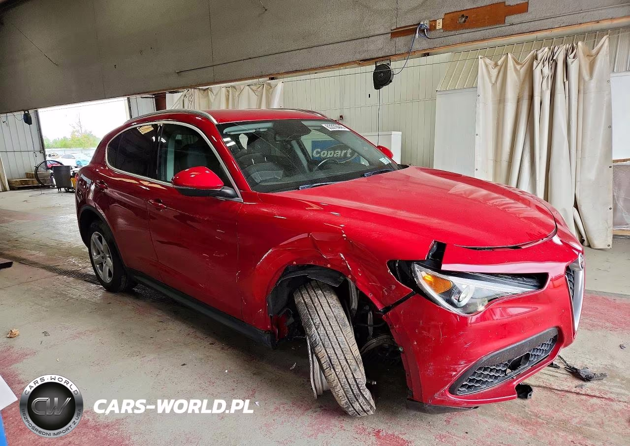 2019 Alfa Romeo Stelvio VIN:ZASPAKAN4K7C31244 - 4