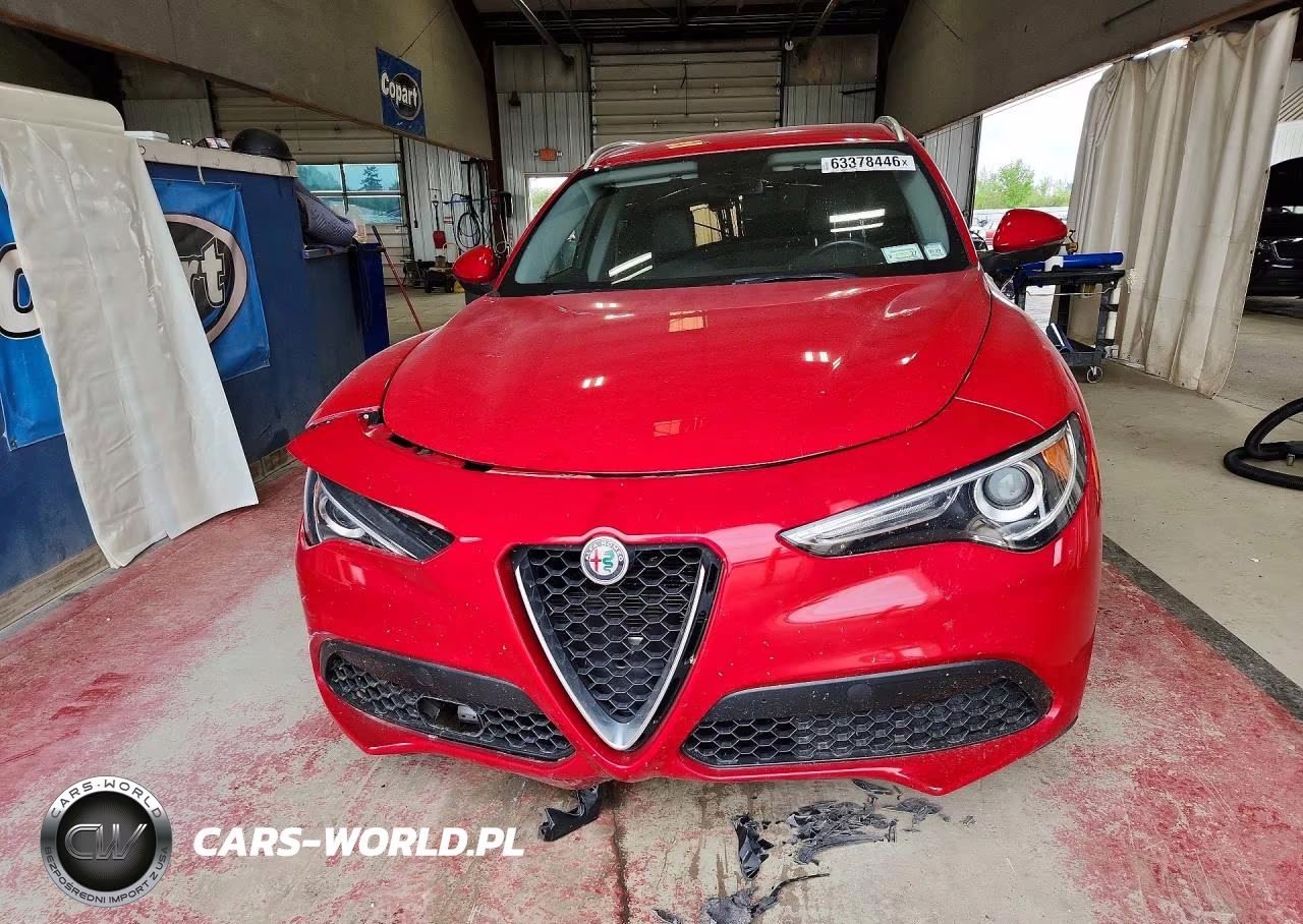2019 Alfa Romeo Stelvio VIN:ZASPAKAN4K7C31244 - 5