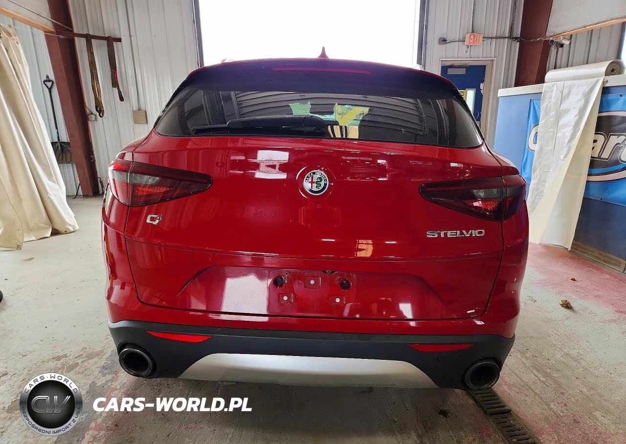 2019 Alfa Romeo Stelvio VIN:ZASPAKAN4K7C31244 - 6