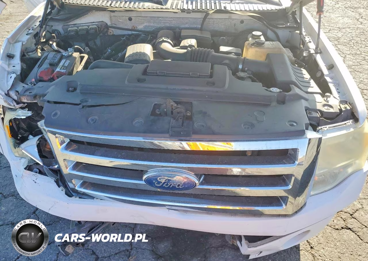 2009 Ford Expedition Xlt VIN:1FMFU15599EB03843 - 12