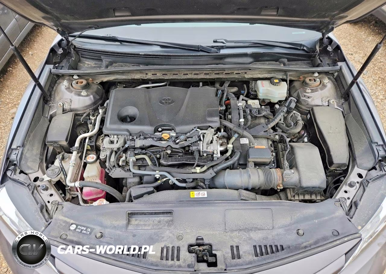 2020 Toyota Camry Xle VIN:4T1F31AK6LU012220 - 11
