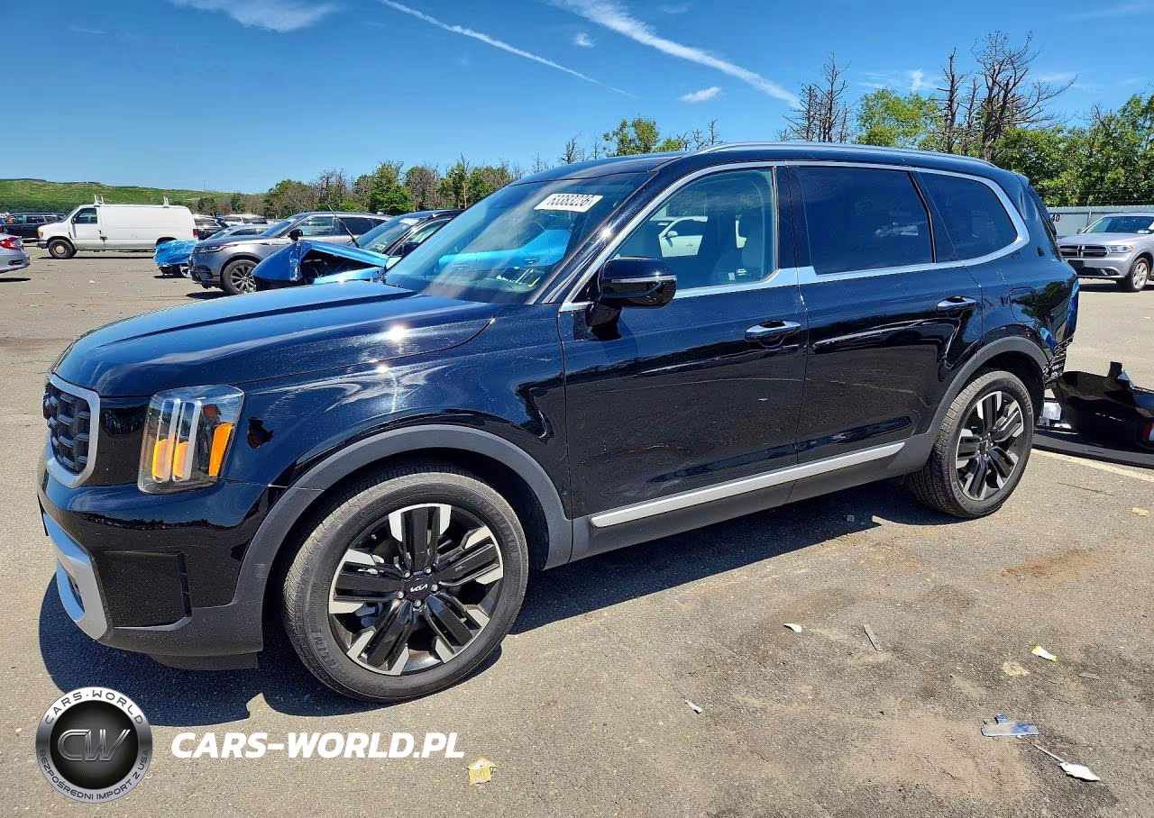 2024 Kia Telluride Sx VIN:5XYP5DGC3RG566457 - 1