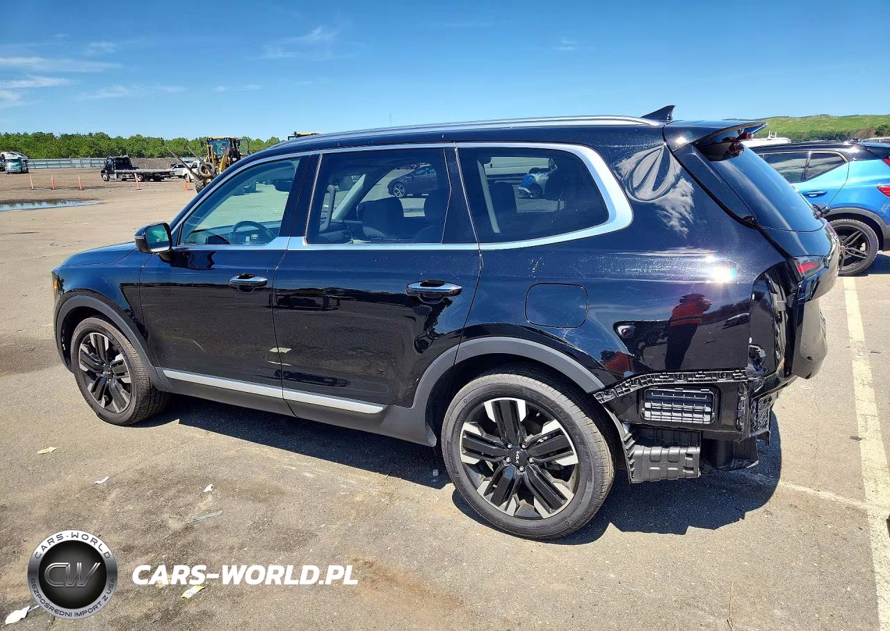 2024 Kia Telluride Sx VIN:5XYP5DGC3RG566457 - 2