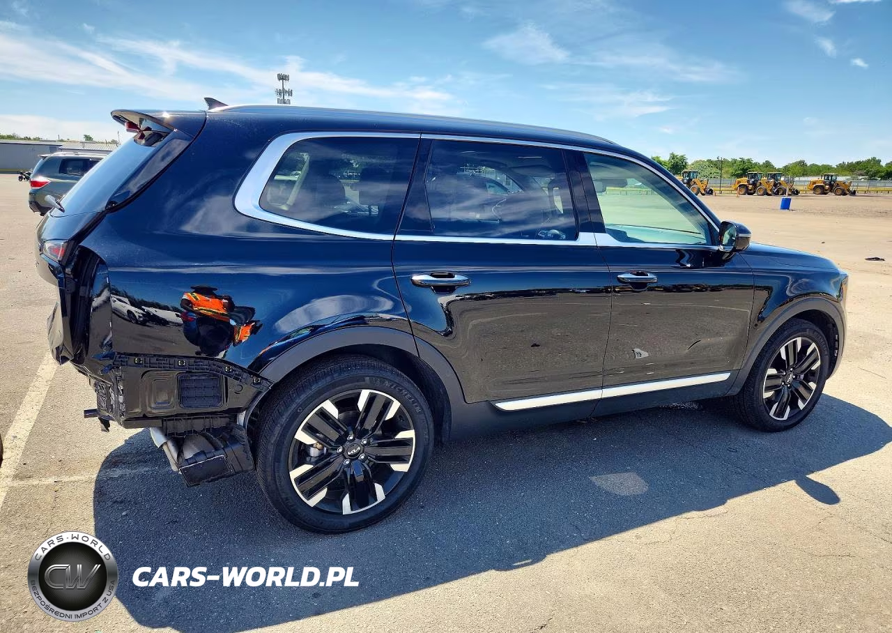 2024 Kia Telluride Sx VIN:5XYP5DGC3RG566457 - 3