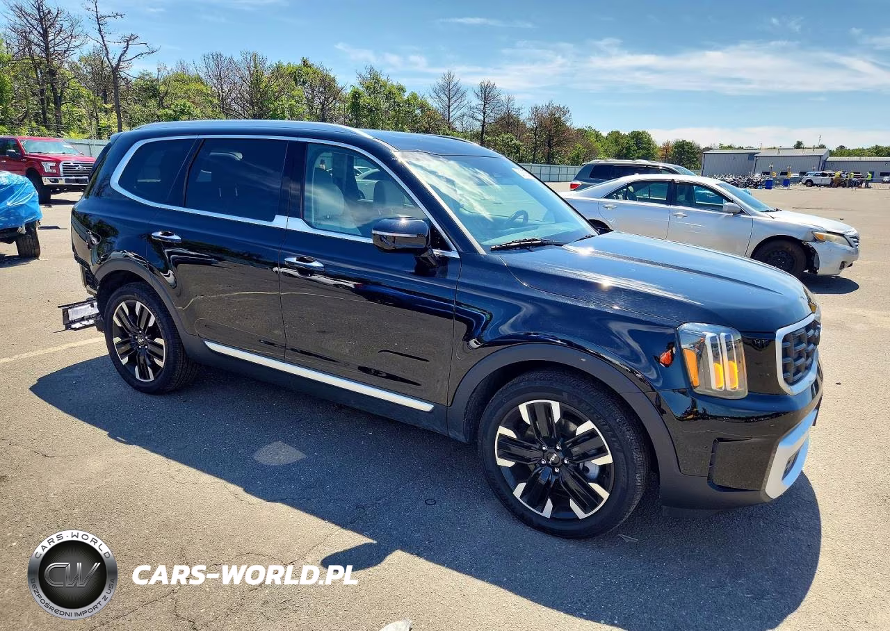 2024 Kia Telluride Sx VIN:5XYP5DGC3RG566457 - 4