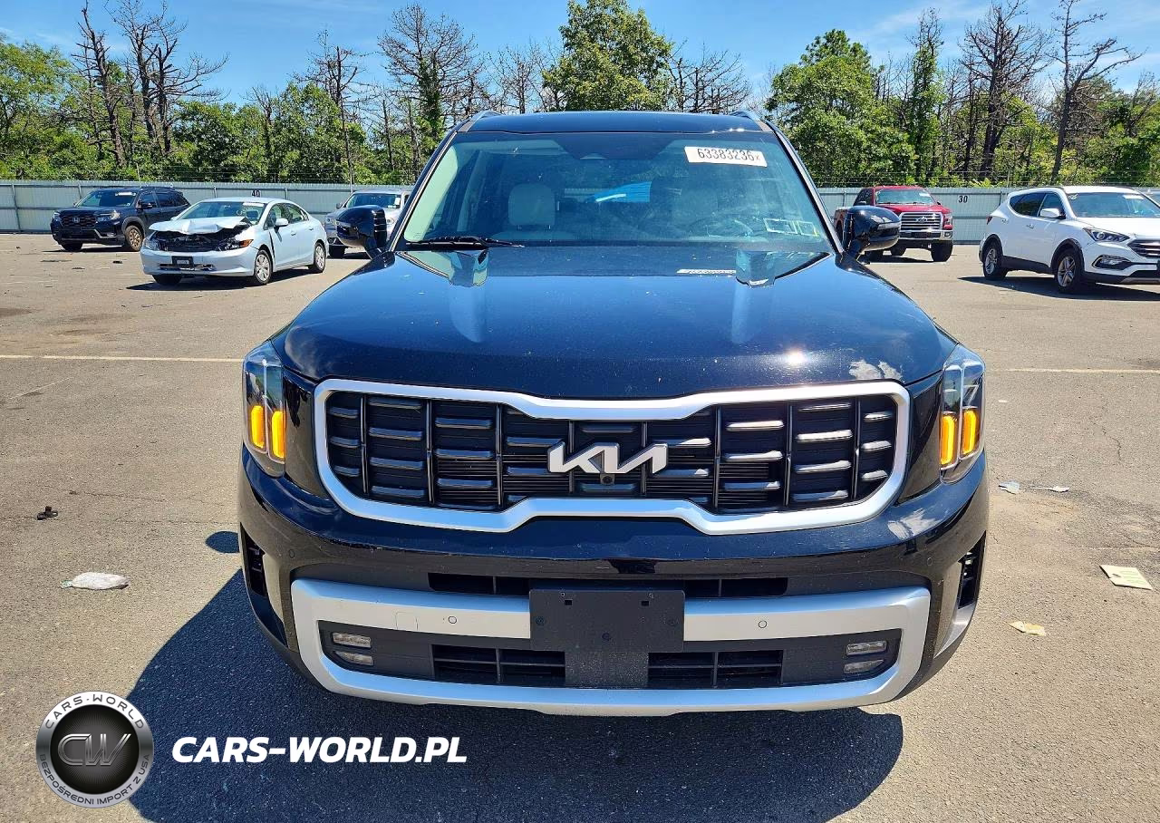 2024 Kia Telluride Sx VIN:5XYP5DGC3RG566457 - 5