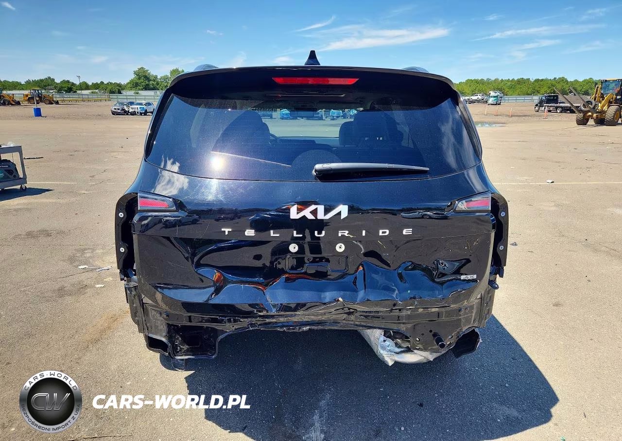 2024 Kia Telluride Sx VIN:5XYP5DGC3RG566457 - 6