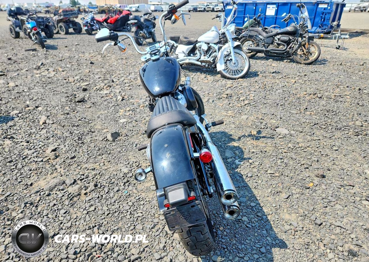 2023 Harley-Davidson Fxst VIN:1HD1BVJ19PB021252 - 4