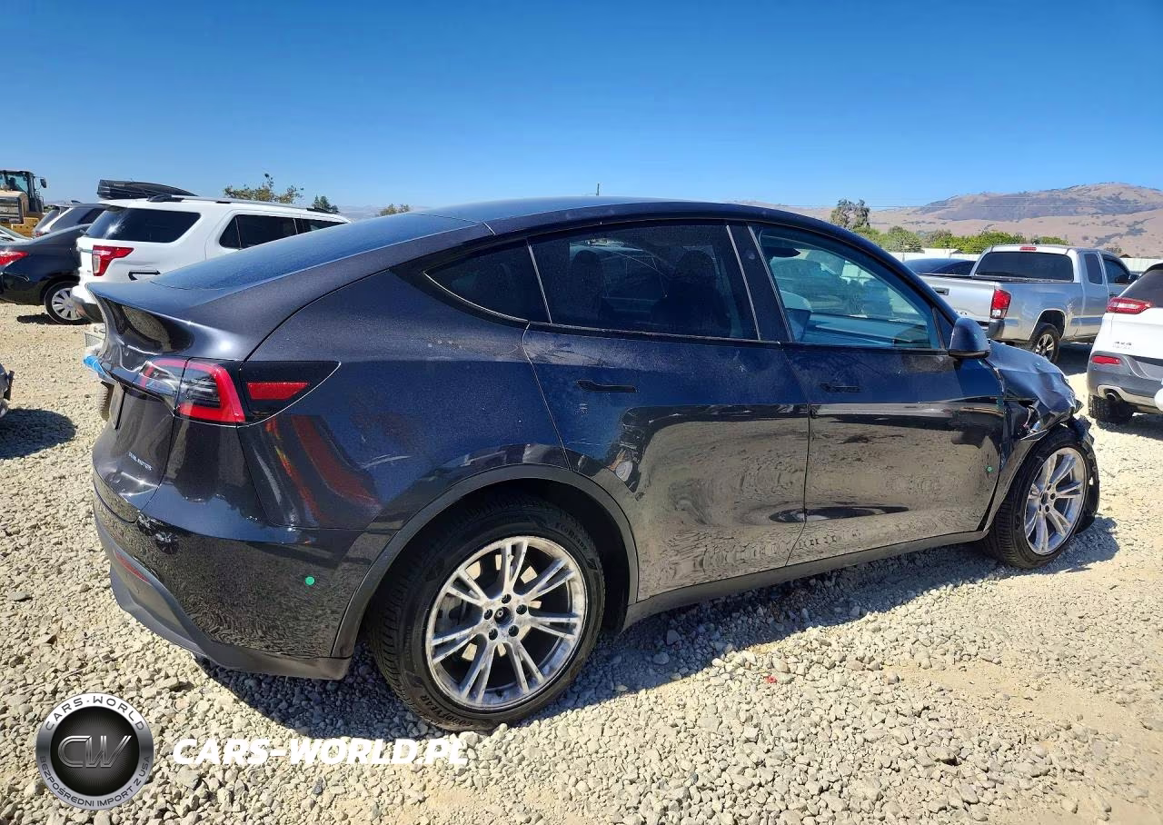 2024 Tesla Model Y VIN:7SAYGDEE4RF013782 - 3