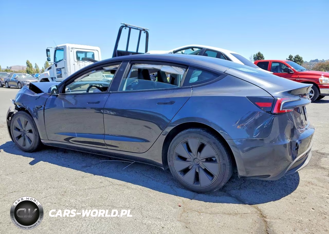 2025 Tesla Model 3 VIN:5YJ3E1EB9SF964566 - 2