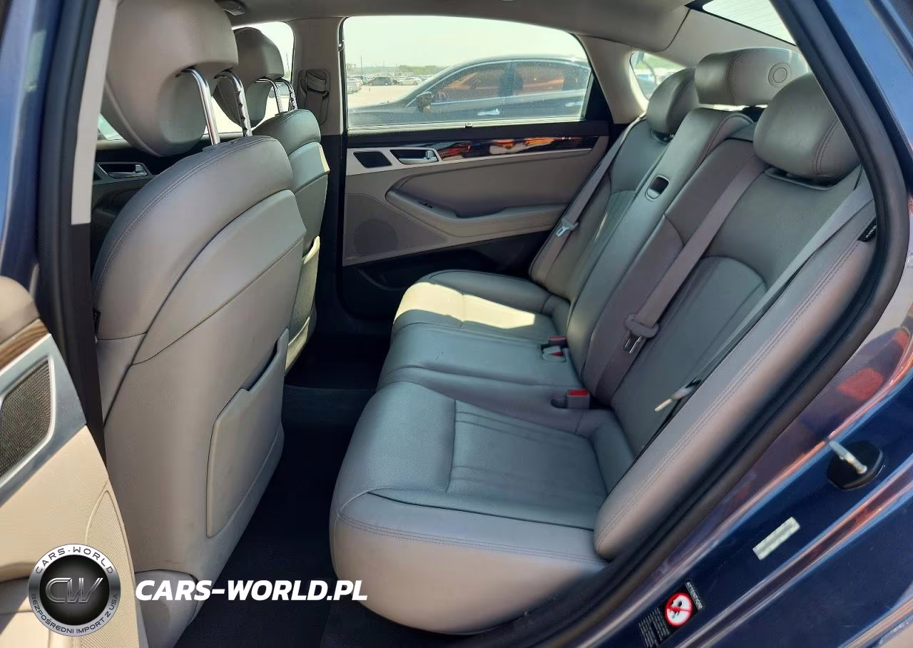2015 Hyundai Genesis 3.8L VIN:KMHGN4JE1FU040800 - 10