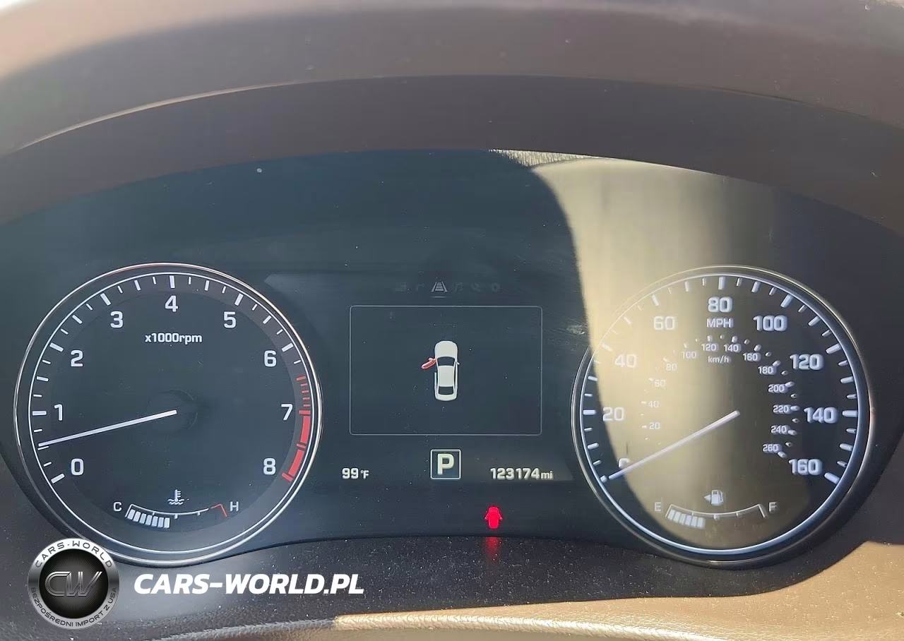 2015 Hyundai Genesis 3.8L VIN:KMHGN4JE1FU040800 - 9
