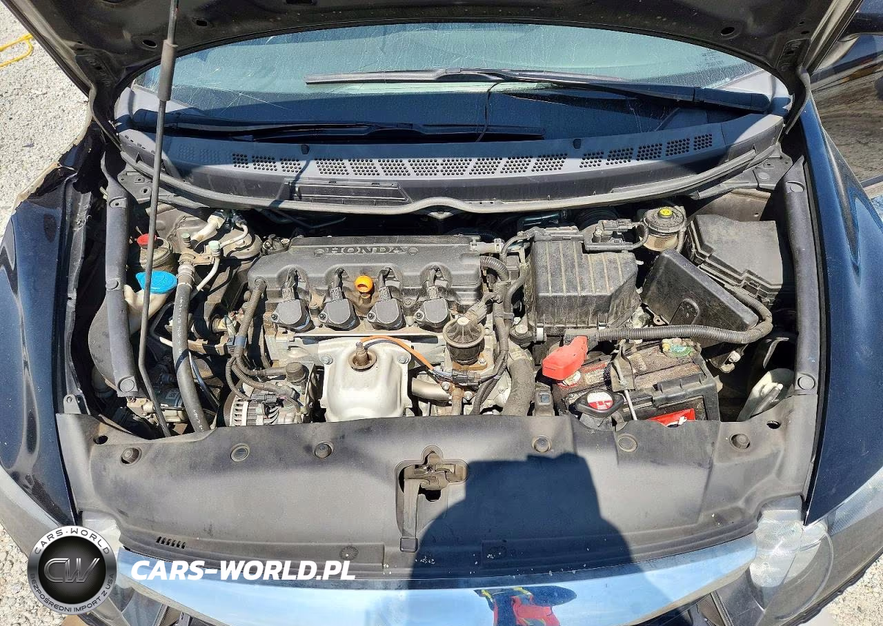 2009 Honda Civic Lx VIN:2HGFA16509H365689 - 11