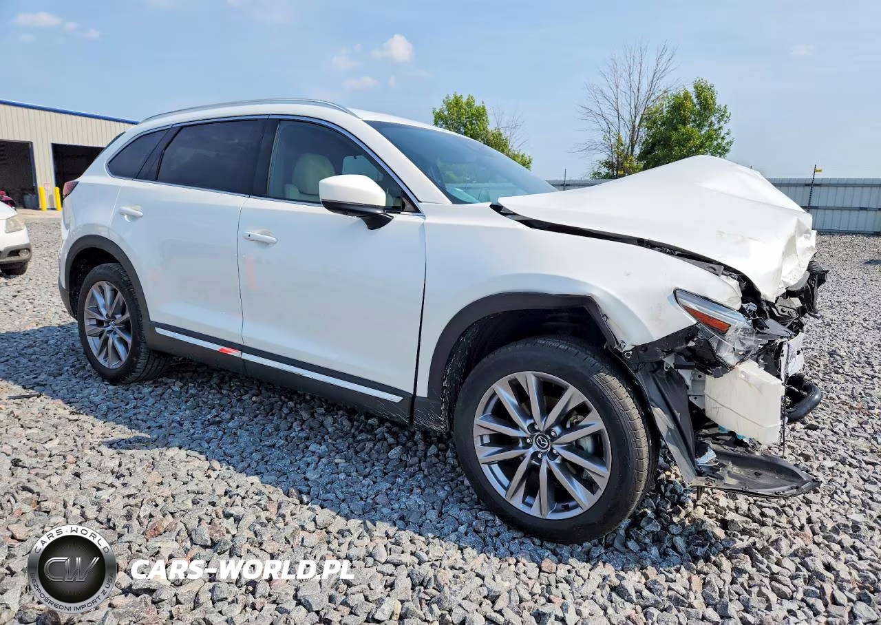 2020 Mazda Cx-9 Grand Touring VIN:JM3TCBDY9L0407469 - 4