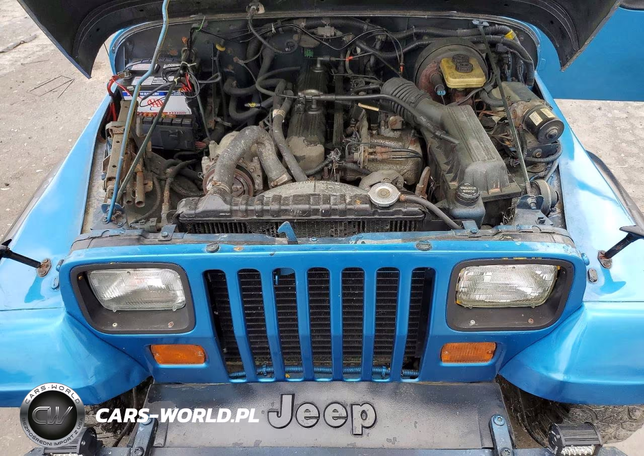 1994 Jeep Wrangler - Yj Sahara VIN:1J4FY49S2RP421926 - 11