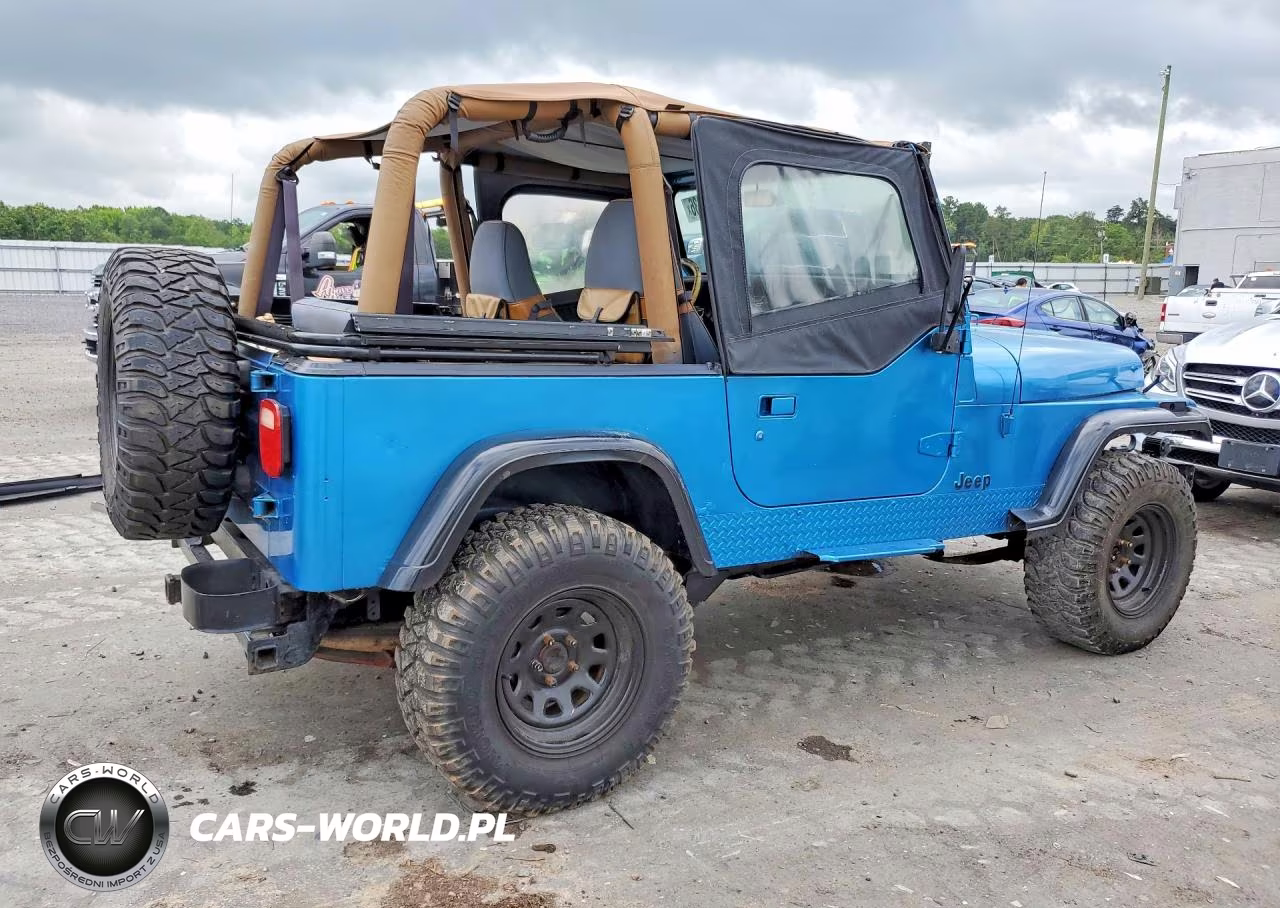1994 Jeep Wrangler - Yj Sahara VIN:1J4FY49S2RP421926 - 3