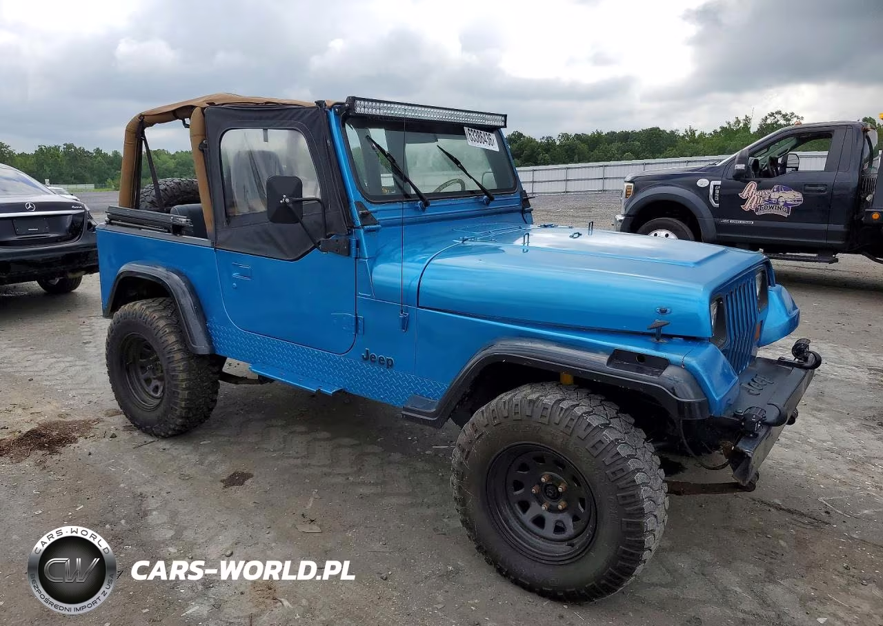 1994 Jeep Wrangler - Yj Sahara VIN:1J4FY49S2RP421926 - 4