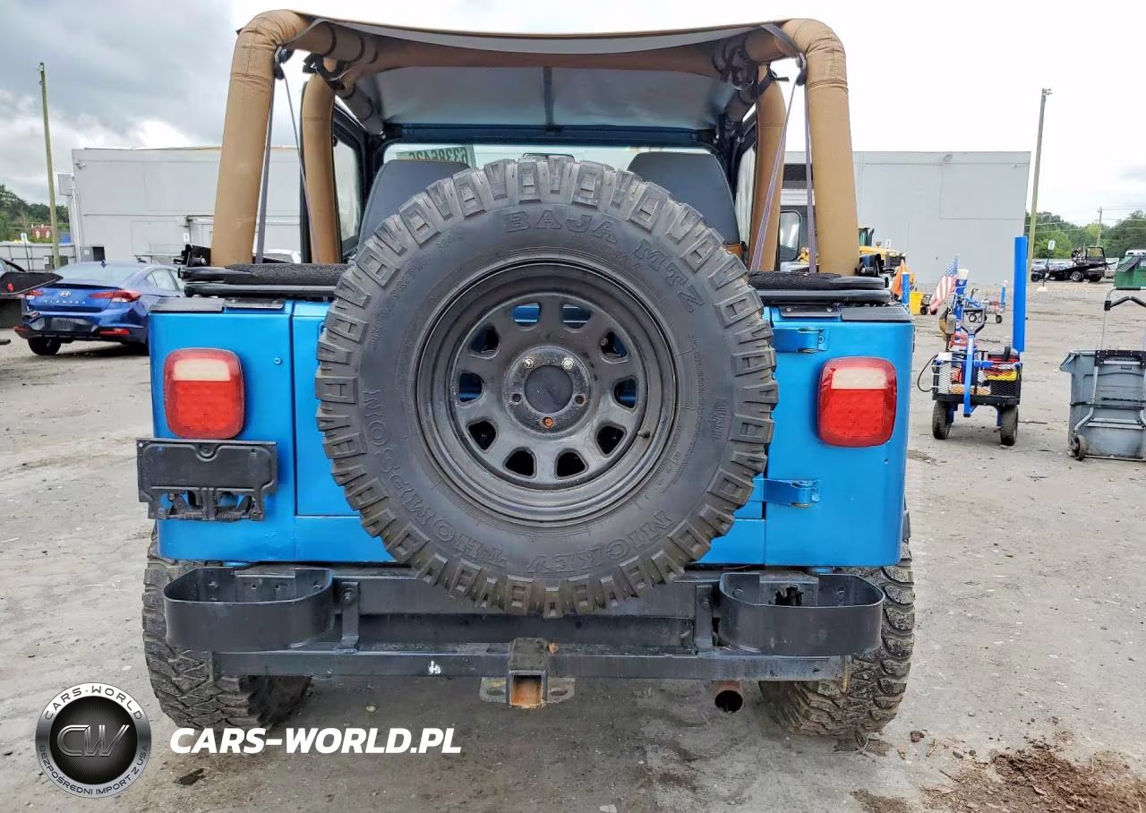 1994 Jeep Wrangler - Yj Sahara VIN:1J4FY49S2RP421926 - 6