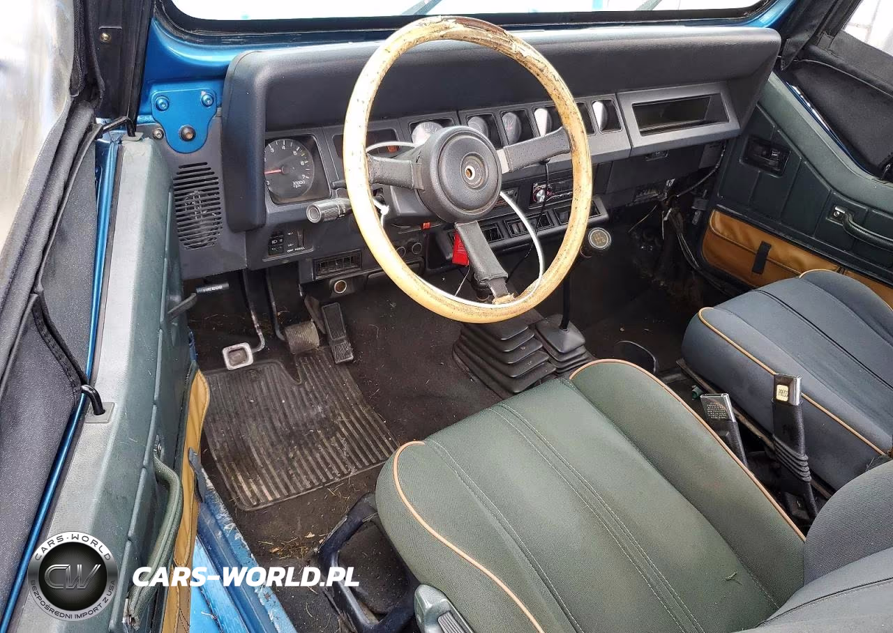 1994 Jeep Wrangler - Yj Sahara VIN:1J4FY49S2RP421926 - 8