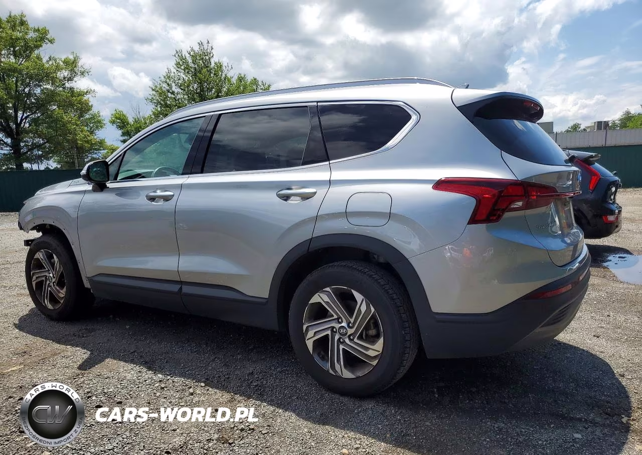 2023 Hyundai Santa Fe Sel VIN:5NMS24AJ3PH641087 - 2