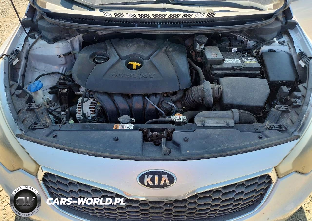2015 Kia Forte VIN:KNAFK4A67F5365928 - 11