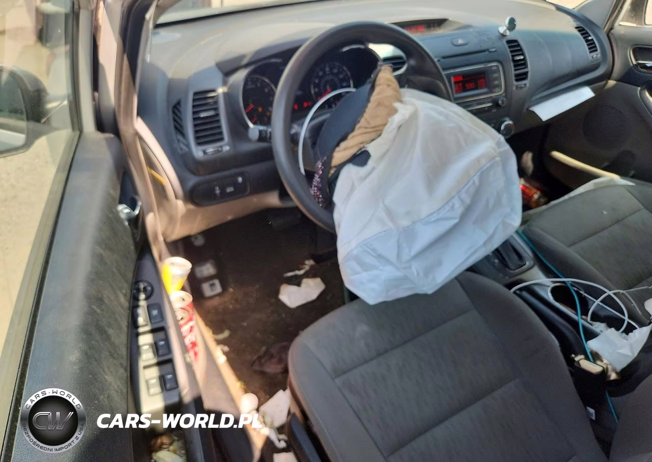 2015 Kia Forte VIN:KNAFK4A67F5365928 - 8