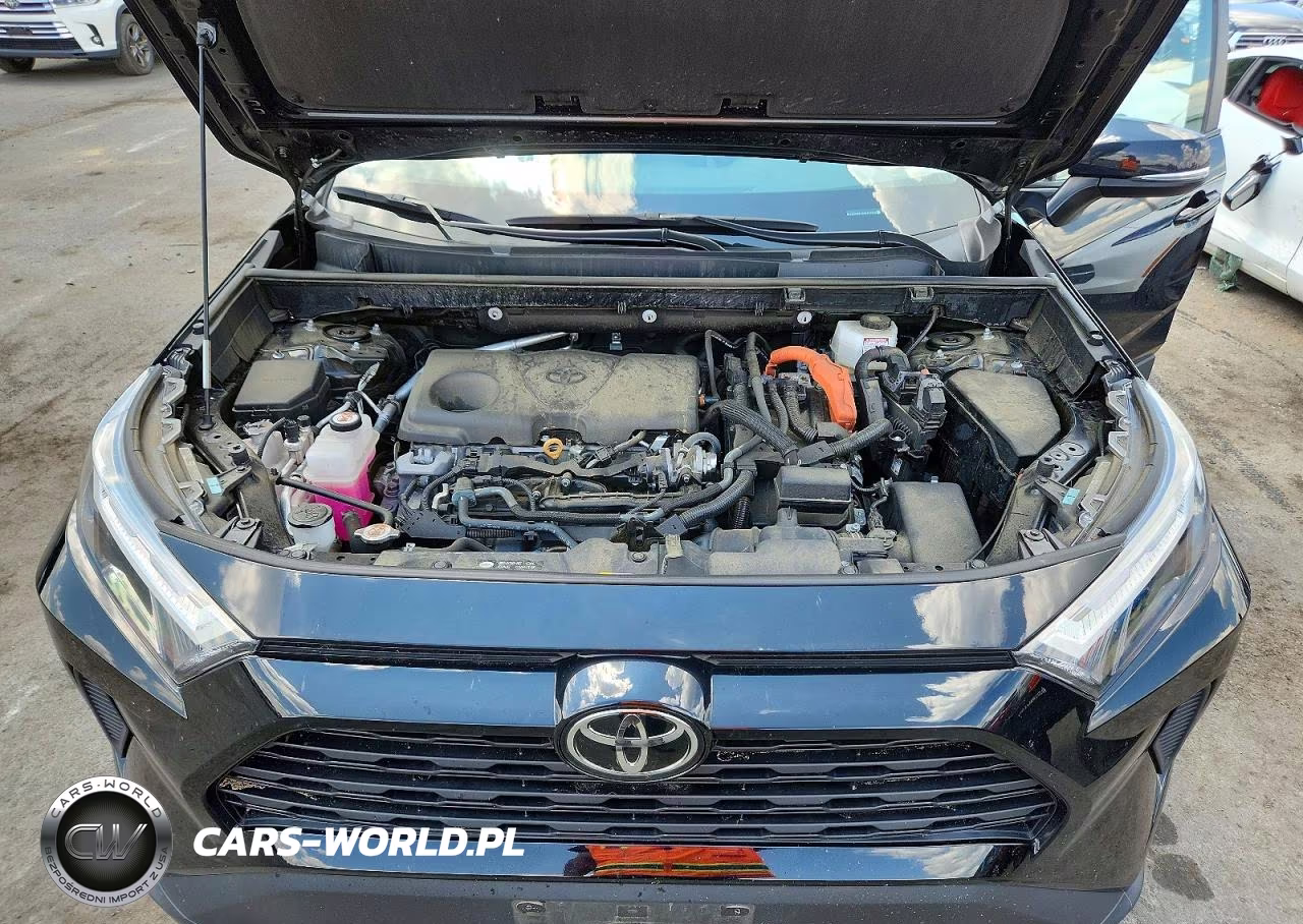 2025 Toyota Rav4 Hybrid Xle VIN:2T3RWRFV0SW261074 - 11