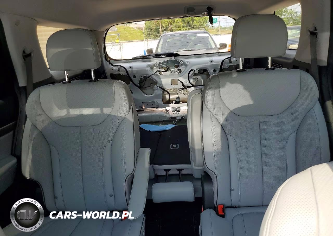 2025 Hyundai Palisade Sel Premium VIN:KM8R4DGE2SU945141 - 10
