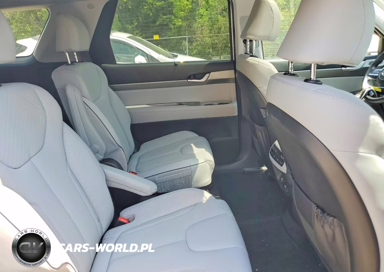 2025 Hyundai Palisade Sel Premium VIN:KM8R4DGE2SU945141 - 11