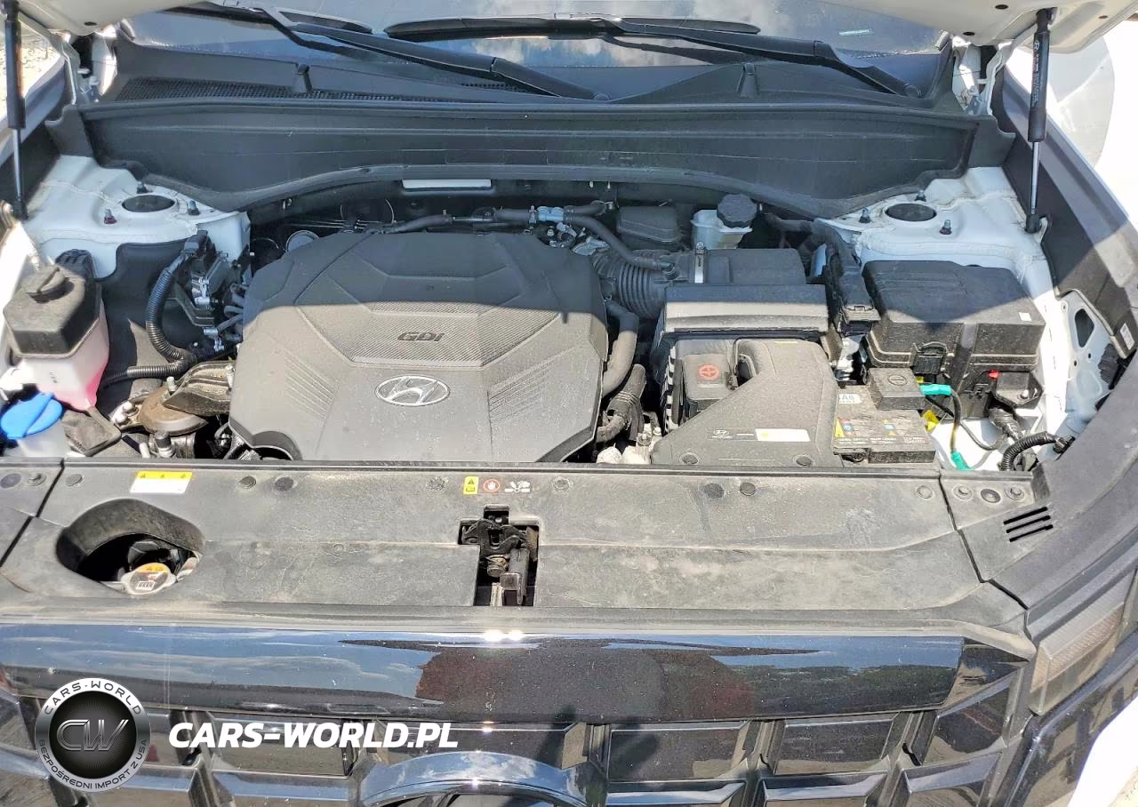 2025 Hyundai Palisade Sel Premium VIN:KM8R4DGE2SU945141 - 12