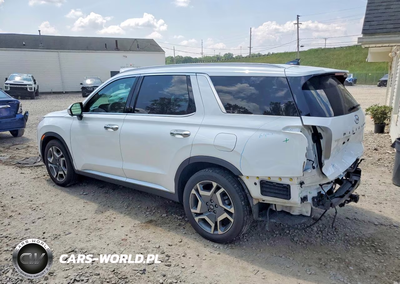 2025 Hyundai Palisade Sel Premium VIN:KM8R4DGE2SU945141 - 2