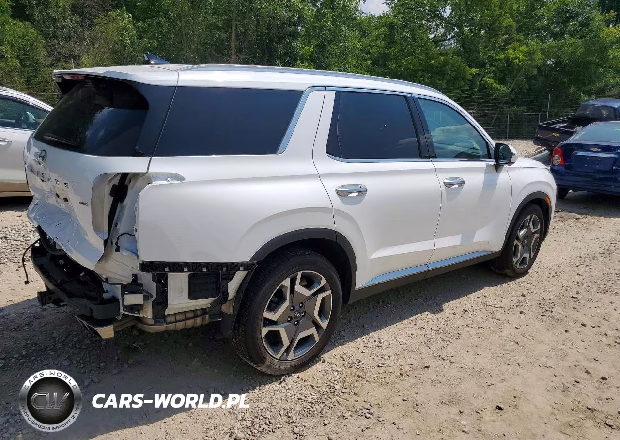 2025 Hyundai Palisade Sel Premium VIN:KM8R4DGE2SU945141 - 3
