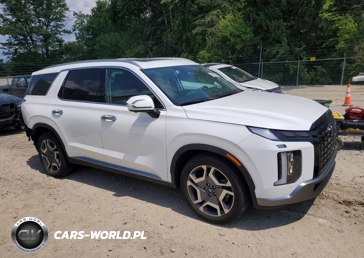 2025 Hyundai Palisade Sel Premium VIN:KM8R4DGE2SU945141 - 4