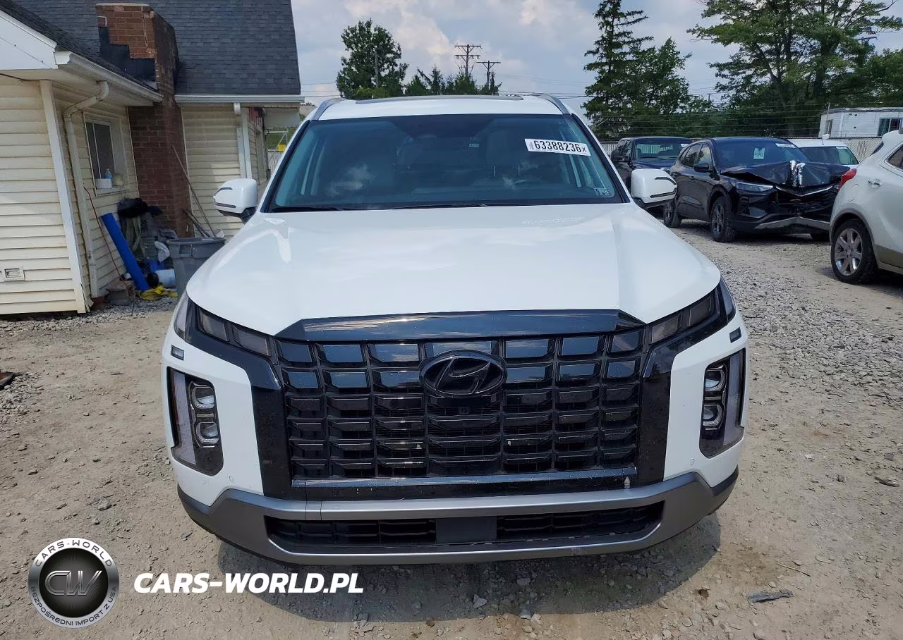 2025 Hyundai Palisade Sel Premium VIN:KM8R4DGE2SU945141 - 5